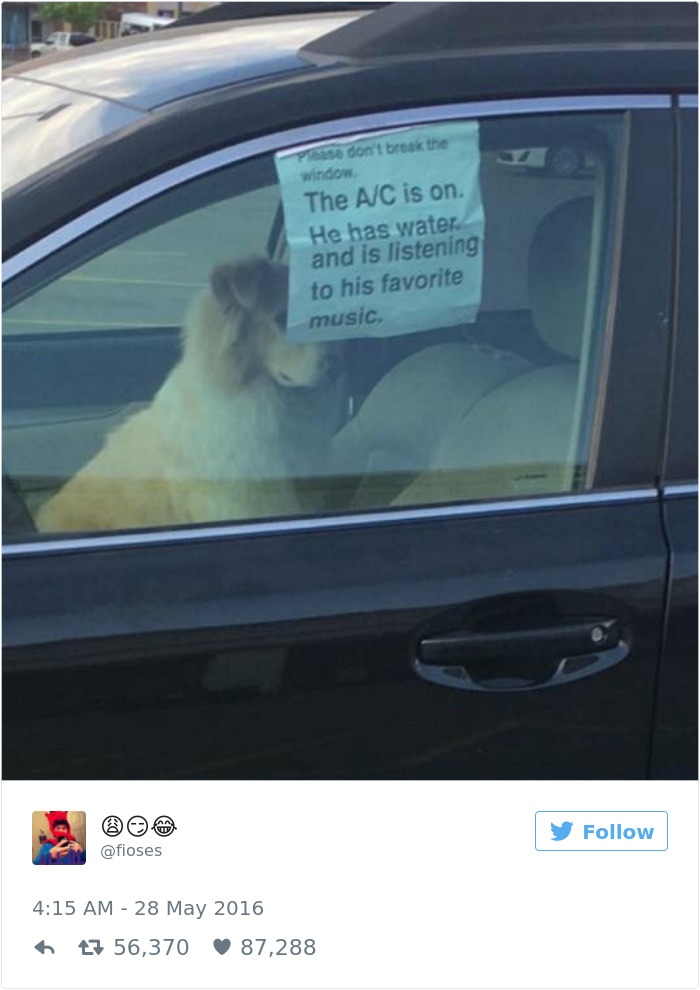 60 Funny Dog Tweets That Are Too Relatable 60 Funny Dog Tweets That Are Too Relatable