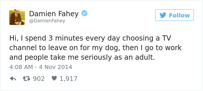 60 Funny Dog Tweets That Are Too Relatable 60 Funny Dog Tweets That Are Too Relatable