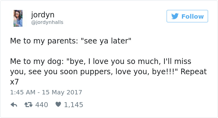 60 Funny Dog Tweets That Are Too Relatable 60 Funny Dog Tweets That Are Too Relatable