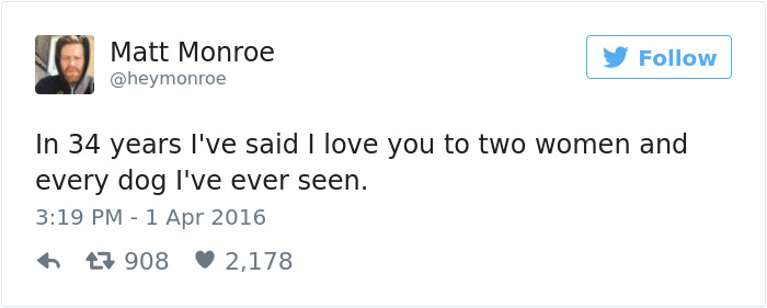 60 Funny Dog Tweets That Are Too Relatable 60 Funny Dog Tweets That Are Too Relatable