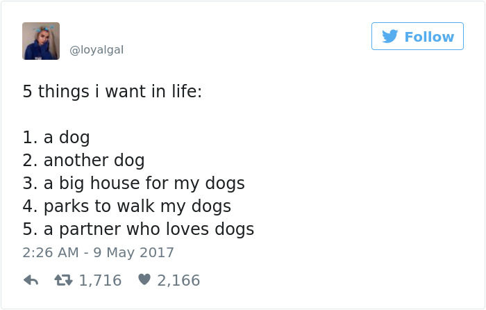 60 Funny Dog Tweets That Are Too Relatable 60 Funny Dog Tweets That Are Too Relatable