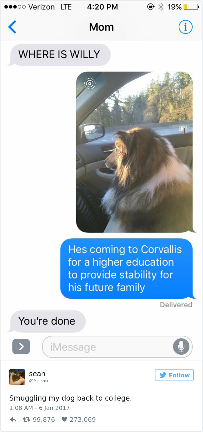 60 Funny Dog Tweets That Are Too Relatable 60 Funny Dog Tweets That Are Too Relatable