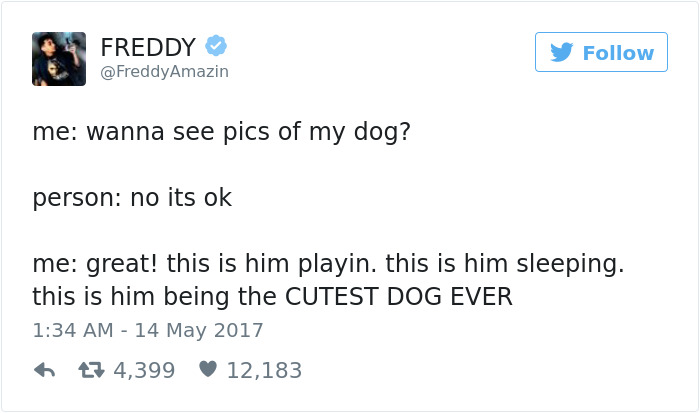 60 Funny Dog Tweets That Are Too Relatable 60 Funny Dog Tweets That Are Too Relatable