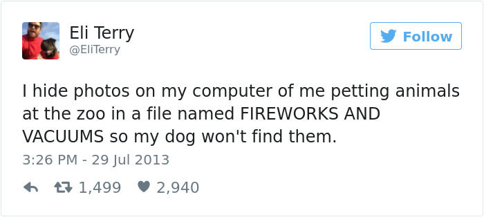 60 Funny Dog Tweets That Are Too Relatable 60 Funny Dog Tweets That Are Too Relatable