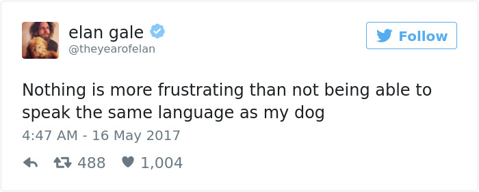 60 Funny Dog Tweets That Are Too Relatable 60 Funny Dog Tweets That Are Too Relatable