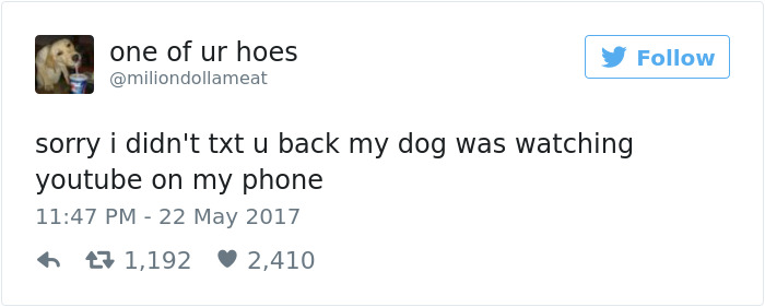 60 Funny Dog Tweets That Are Too Relatable 60 Funny Dog Tweets That Are Too Relatable