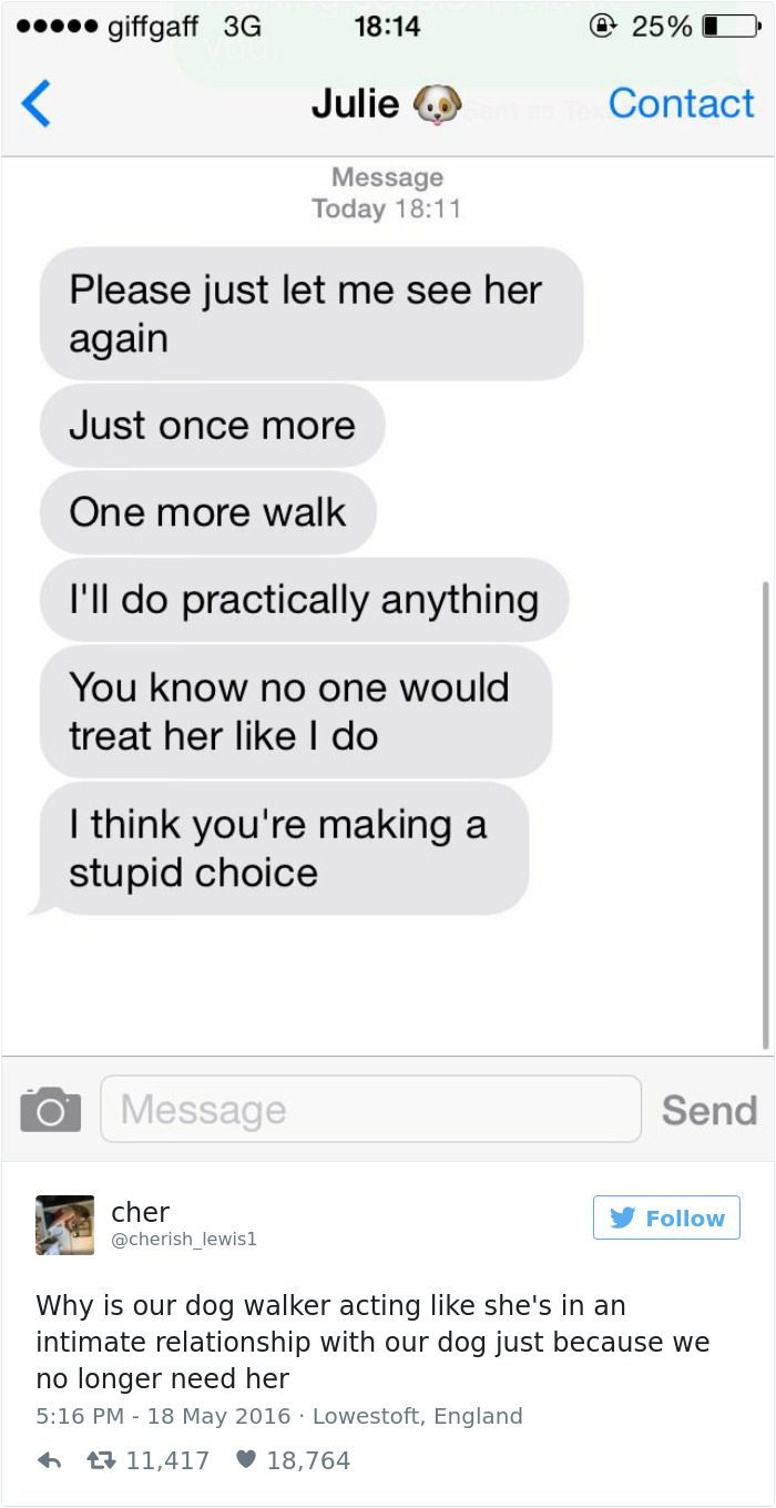 60 Funny Dog Tweets That Are Too Relatable 60 Funny Dog Tweets That Are Too Relatable