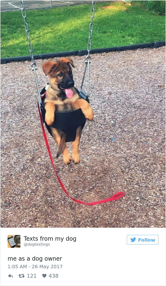 60 Funny Dog Tweets That Are Too Relatable 60 Funny Dog Tweets That Are Too Relatable