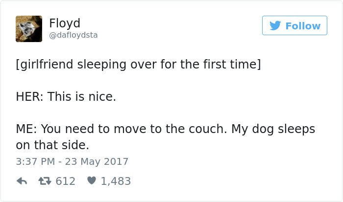 60 Funny Dog Tweets That Are Too Relatable 60 Funny Dog Tweets That Are Too Relatable