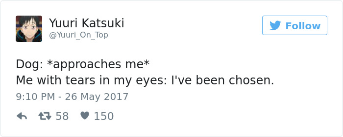 60 Funny Dog Tweets That Are Too Relatable 60 Funny Dog Tweets That Are Too Relatable