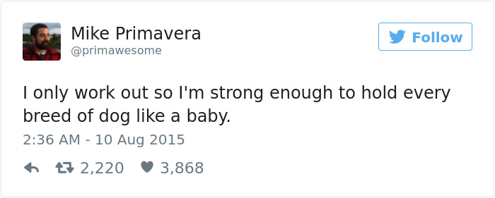 60 Funny Dog Tweets That Are Too Relatable 60 Funny Dog Tweets That Are Too Relatable