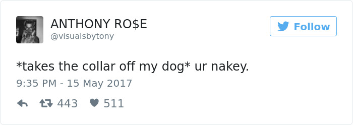 60 Funny Dog Tweets That Are Too Relatable 60 Funny Dog Tweets That Are Too Relatable