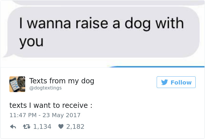 60 Funny Dog Tweets That Are Too Relatable 60 Funny Dog Tweets That Are Too Relatable