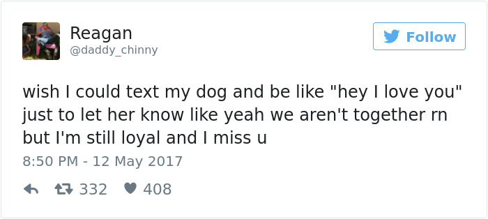 60 Funny Dog Tweets That Are Too Relatable 60 Funny Dog Tweets That Are Too Relatable