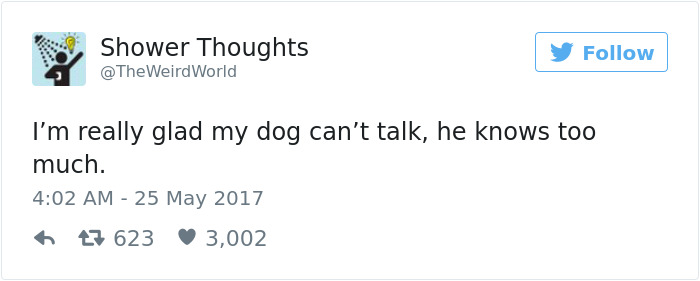 60 Funny Dog Tweets That Are Too Relatable 60 Funny Dog Tweets That Are Too Relatable