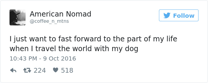 60 Funny Dog Tweets That Are Too Relatable 60 Funny Dog Tweets That Are Too Relatable