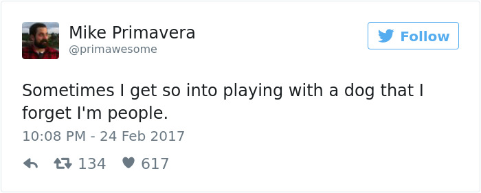 60 Funny Dog Tweets That Are Too Relatable 60 Funny Dog Tweets That Are Too Relatable