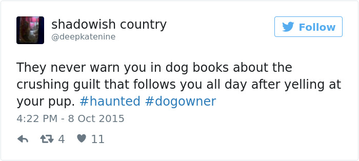 60 Funny Dog Tweets That Are Too Relatable 60 Funny Dog Tweets That Are Too Relatable