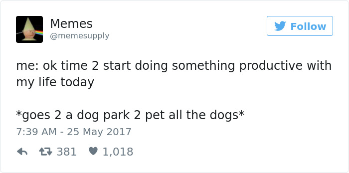 60 Funny Dog Tweets That Are Too Relatable 60 Funny Dog Tweets That Are Too Relatable