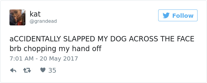 60 Funny Dog Tweets That Are Too Relatable 60 Funny Dog Tweets That Are Too Relatable
