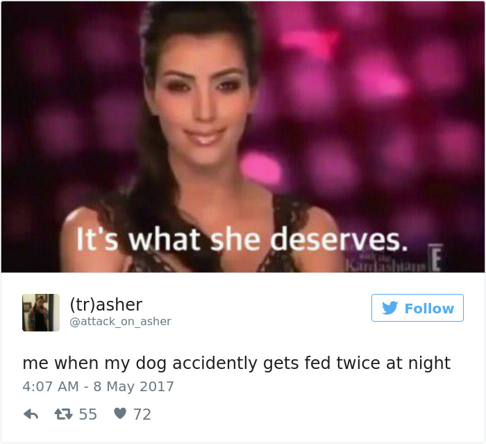 60 Funny Dog Tweets That Are Too Relatable 60 Funny Dog Tweets That Are Too Relatable