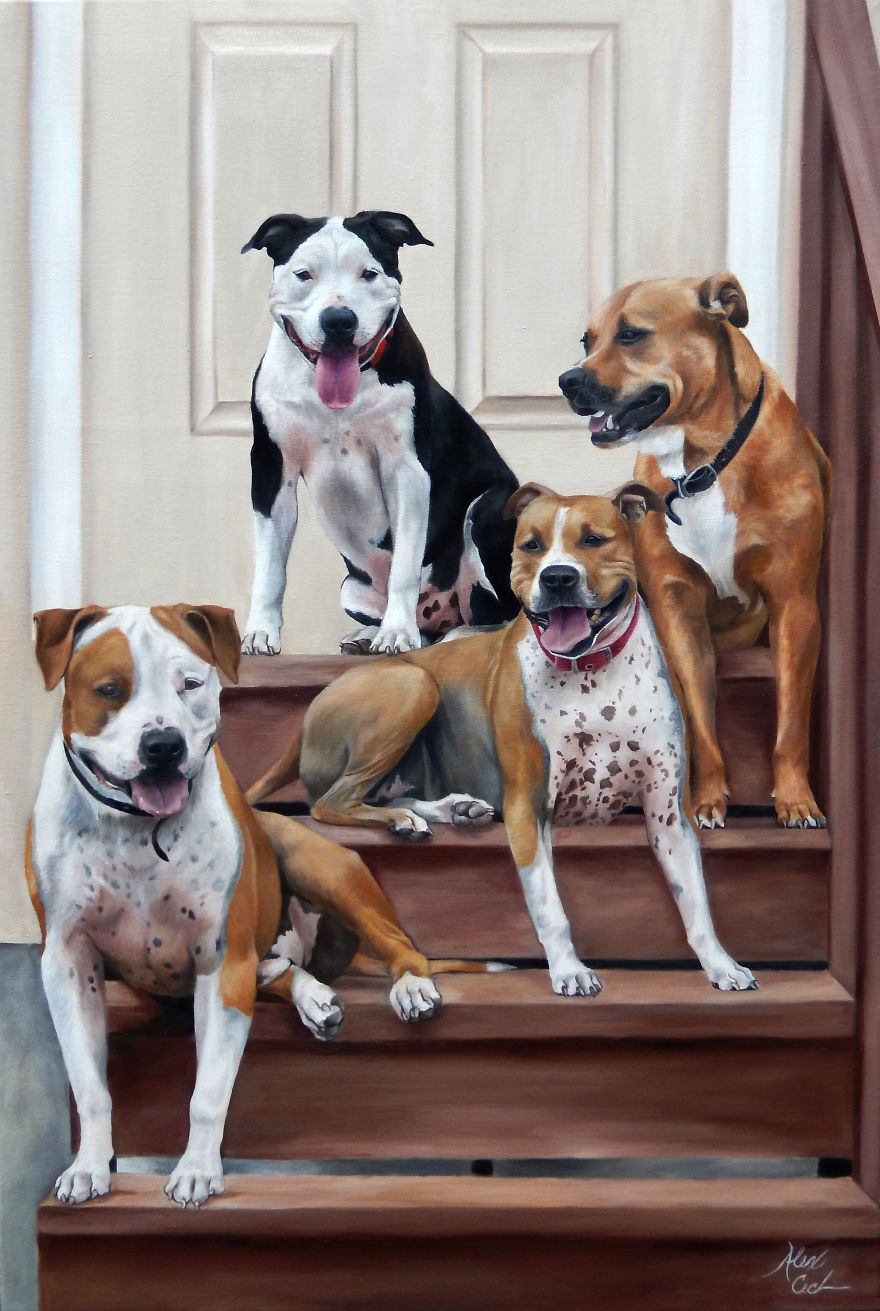 I Create Custom Paintings Of People’s Pets I Create Custom Paintings Of People’s Pets