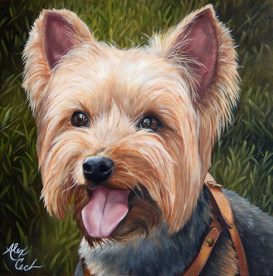 I Create Custom Paintings Of People’s Pets I Create Custom Paintings Of People’s Pets