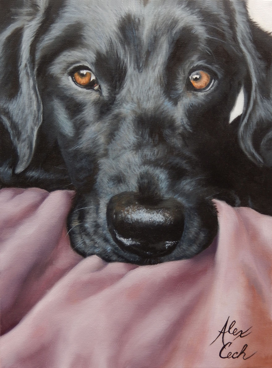 I Create Custom Paintings Of People’s Pets I Create Custom Paintings Of People’s Pets