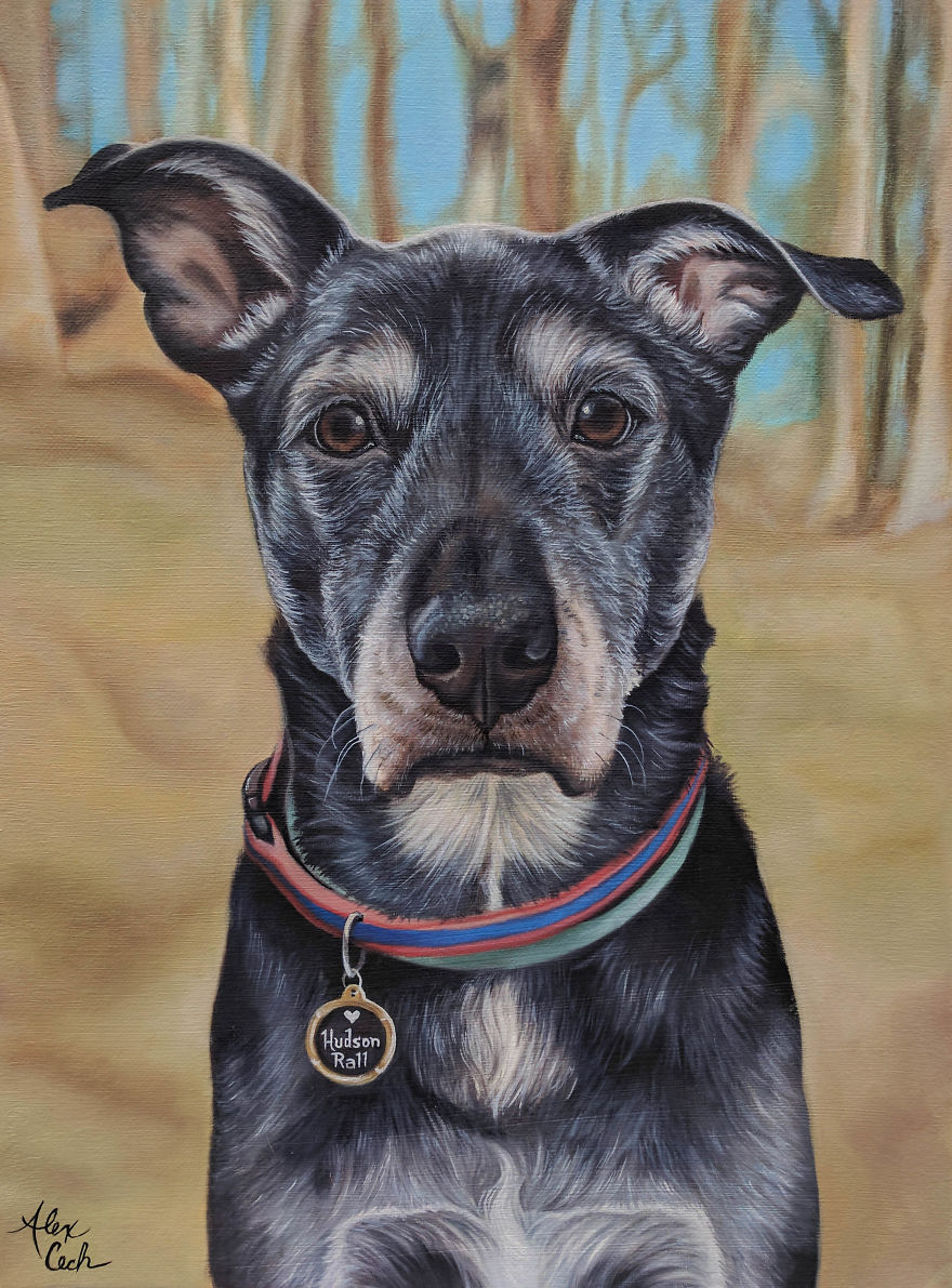 I Create Custom Paintings Of People’s Pets I Create Custom Paintings Of People’s Pets