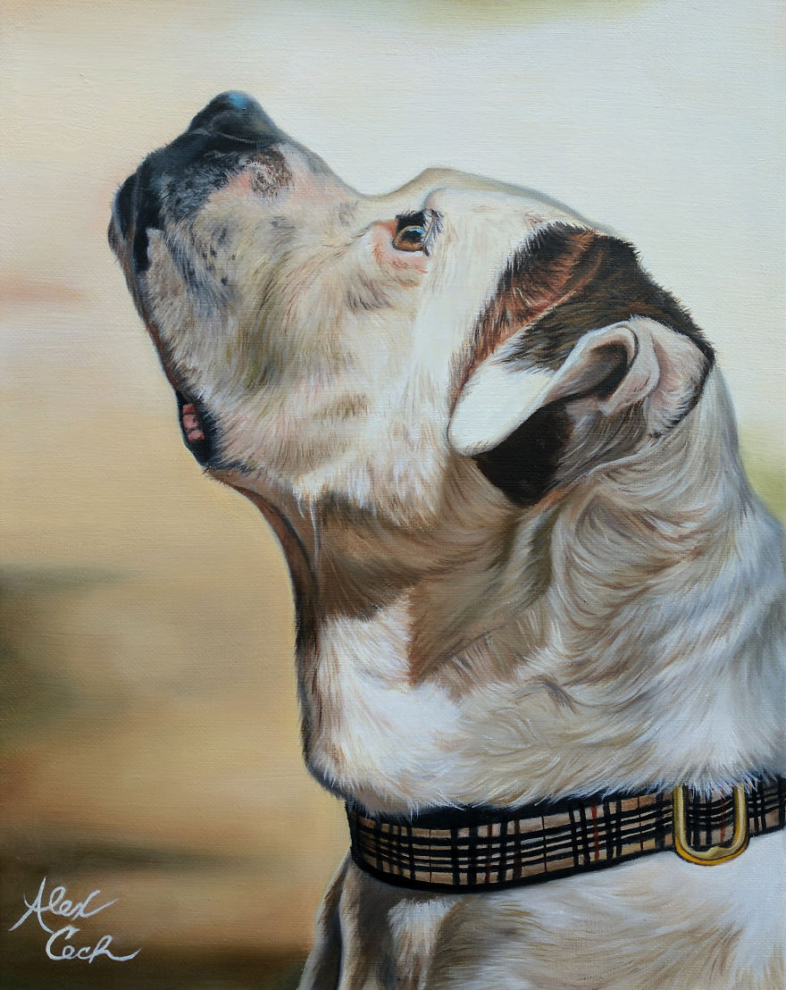I Create Custom Paintings Of People’s Pets I Create Custom Paintings Of People’s Pets