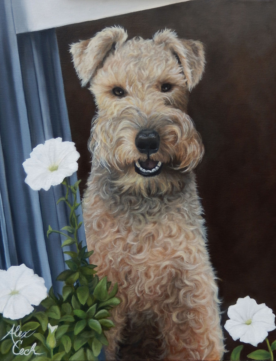 I Create Custom Paintings Of People’s Pets I Create Custom Paintings Of People’s Pets