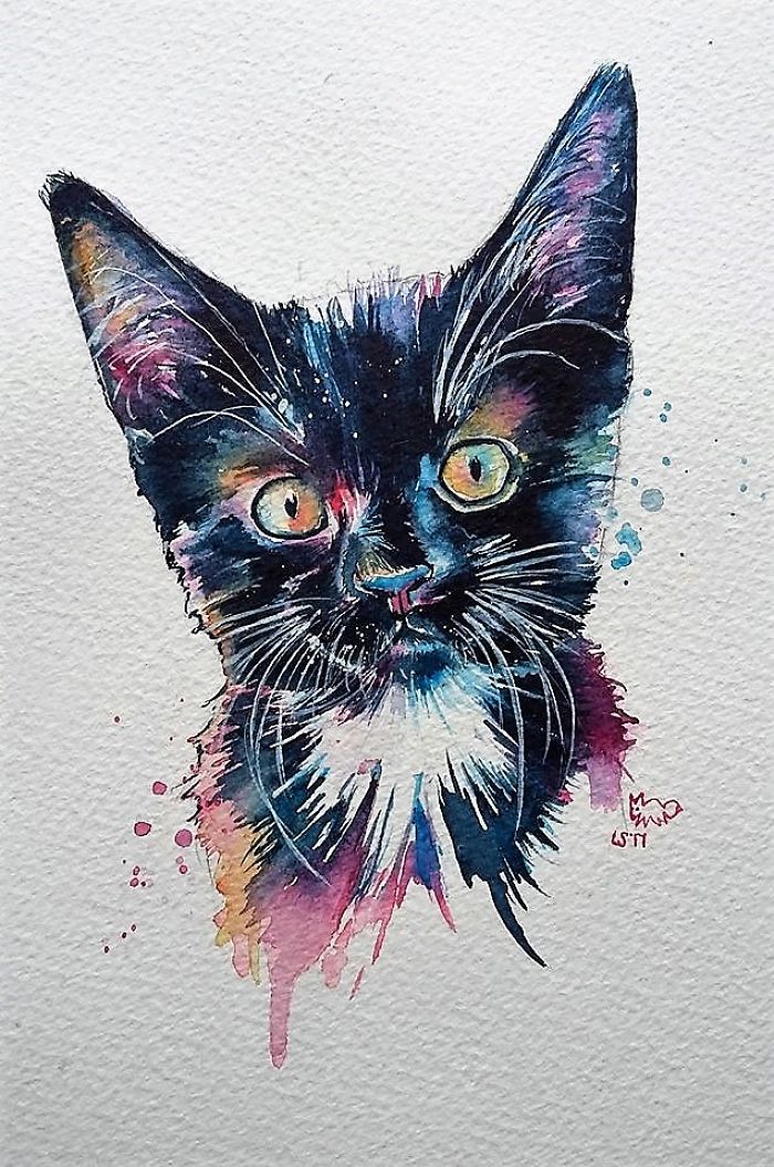 I Take Black Cats And Make Them Magical