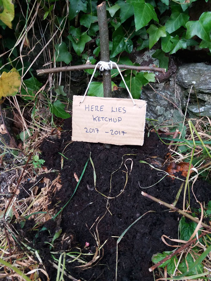 Guy Complains To Supermarket That His Unopened Ketchup Exploded, Store Responds And Hilarity Ensues