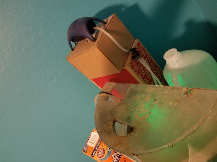 Owner Hasn&#8217;t Cleaned This Goldfish&#8217;s Aquarium For 1,5 Years, So This Hero Decided To Do Something About It