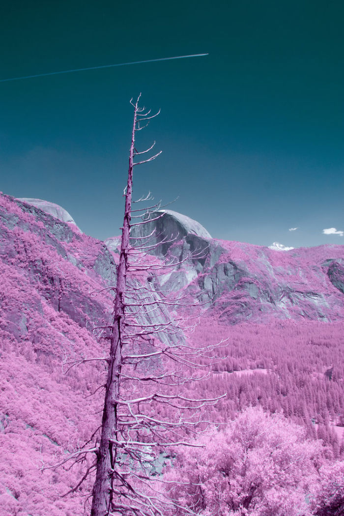 I Captured How Yosemite Would Look If You Saw It In Infrared