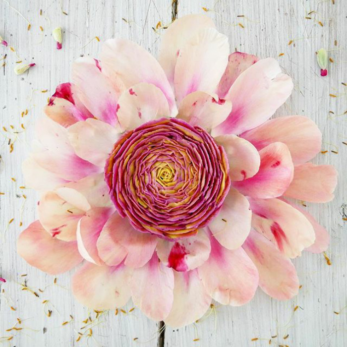 This German Confectioner Makes The Most Beautiful Raw Vegan Cakes Ever This German Confectioner Makes The Most Beautiful Raw Vegan Cakes Ever