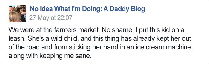 Dad&#8217;s Explanation Why He Puts His Toddler On A Leash Goes Viral, And He Has A Point