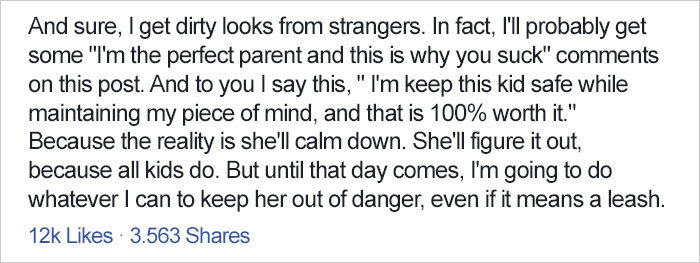 Dad’s Explanation Why He Puts His Toddler On A Leash Goes Viral, And He Has A Point Dad’s Explanation Why He Puts His Toddler On A Leash Goes Viral, And He Has A Point