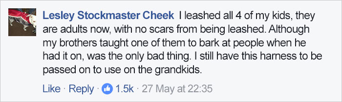 Dad&#8217;s Explanation Why He Puts His Toddler On A Leash Goes Viral, And He Has A Point