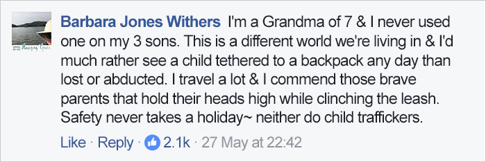 Dad&#8217;s Explanation Why He Puts His Toddler On A Leash Goes Viral, And He Has A Point