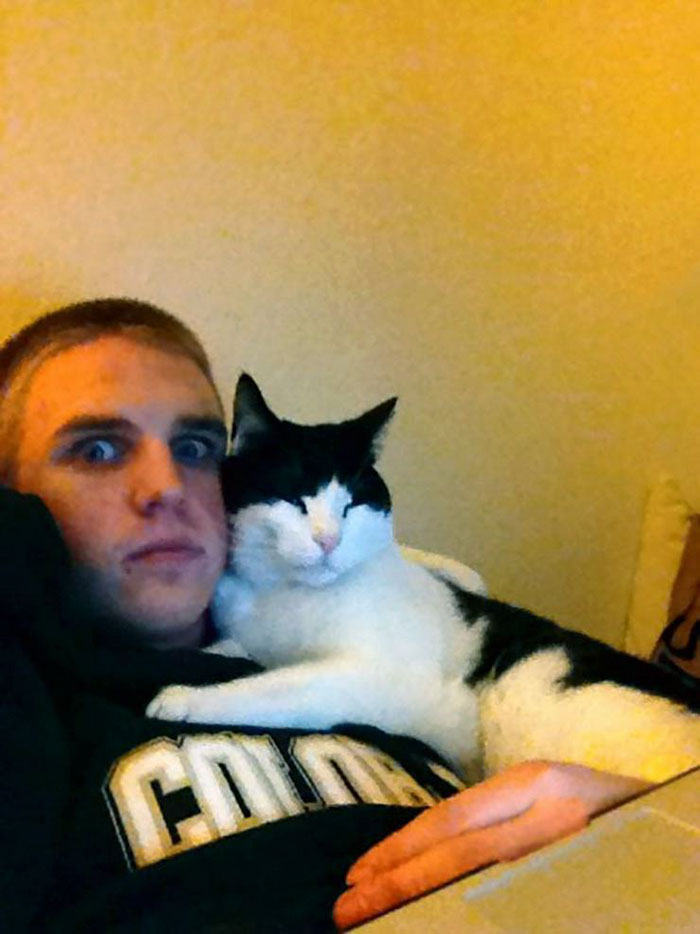 50 Of The Best &#8220;I Don&#8217;t Own A Cat&#8221; Moments That Have Ever Happened To Humans