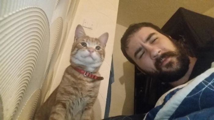 50 Of The Best “I Don’t Own A Cat” Moments That Have Ever Happened To Humans 50 Of The Best “I Don’t Own A Cat” Moments That Have Ever Happened To Humans