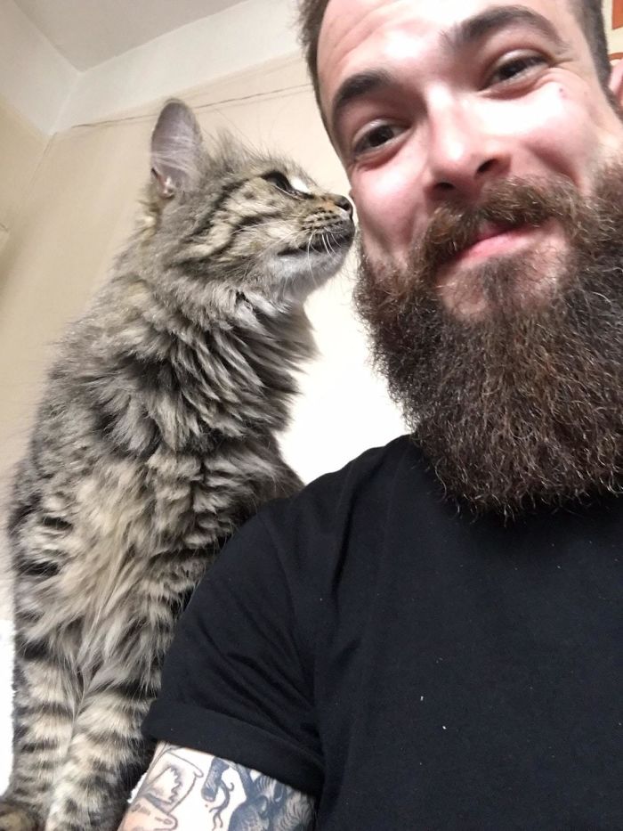 50 Of The Best &#8220;I Don&#8217;t Own A Cat&#8221; Moments That Have Ever Happened To Humans