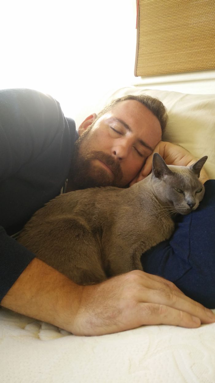 50 Of The Best &#8220;I Don&#8217;t Own A Cat&#8221; Moments That Have Ever Happened To Humans