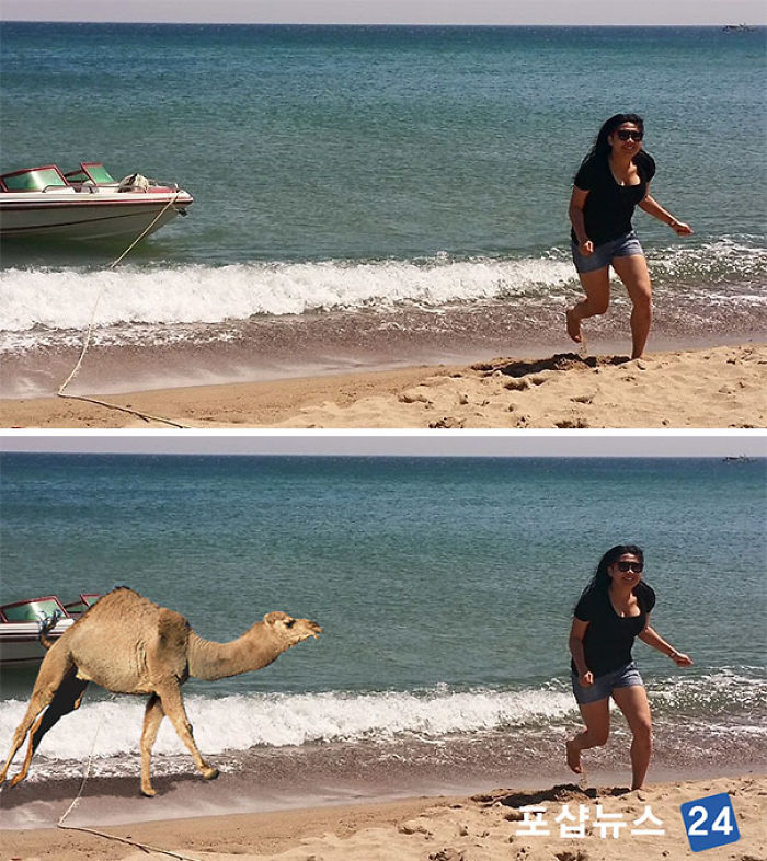 63 Times People Asked Korean Photoshop Masters For Help, And Regretted It 63 Times People Asked Korean Photoshop Masters For Help, And Regretted It