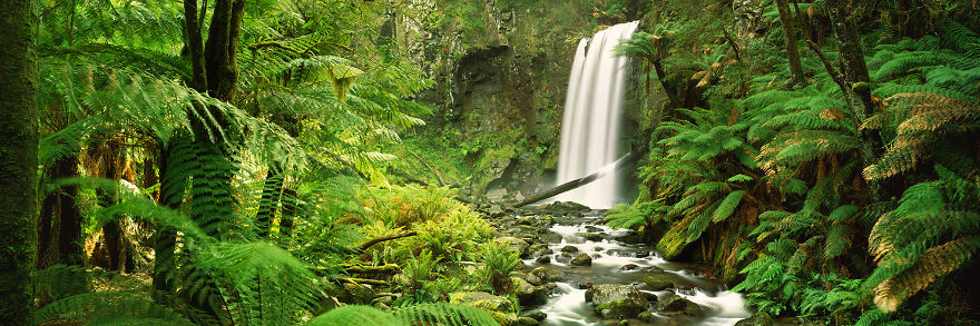 I Bought A $60,000 Digital Camera But I Still Prefer Film. Can You Spot The Difference? I Bought A $60,000 Digital Camera But I Still Prefer Film. Can You Spot The Difference?