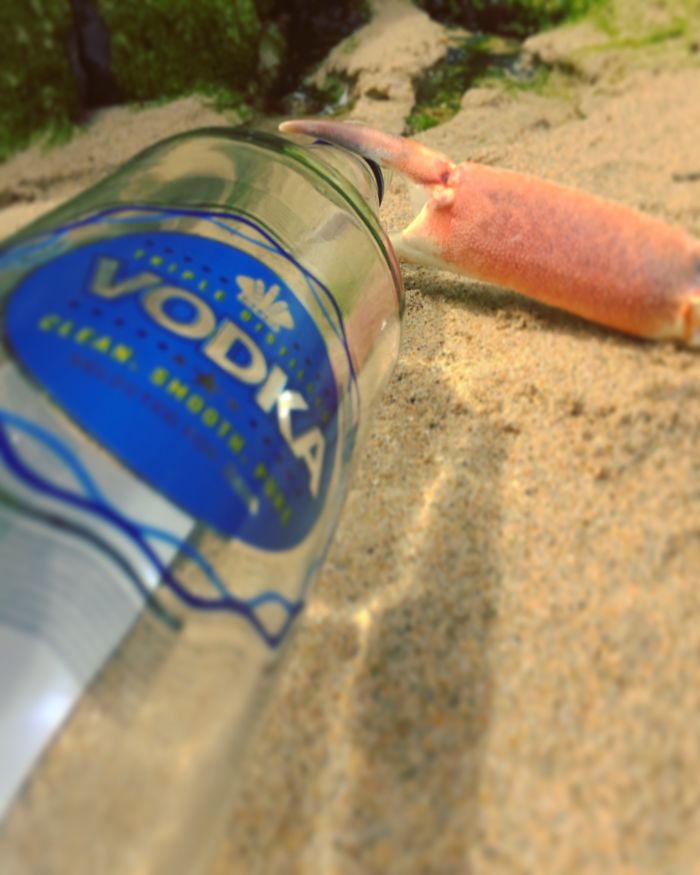 I Found A Crab Claw On The Beach… I Found A Crab Claw On The Beach…