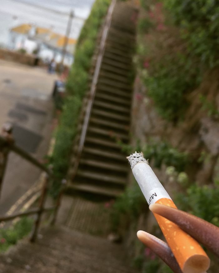 I Found A Crab Claw On The Beach… I Found A Crab Claw On The Beach…