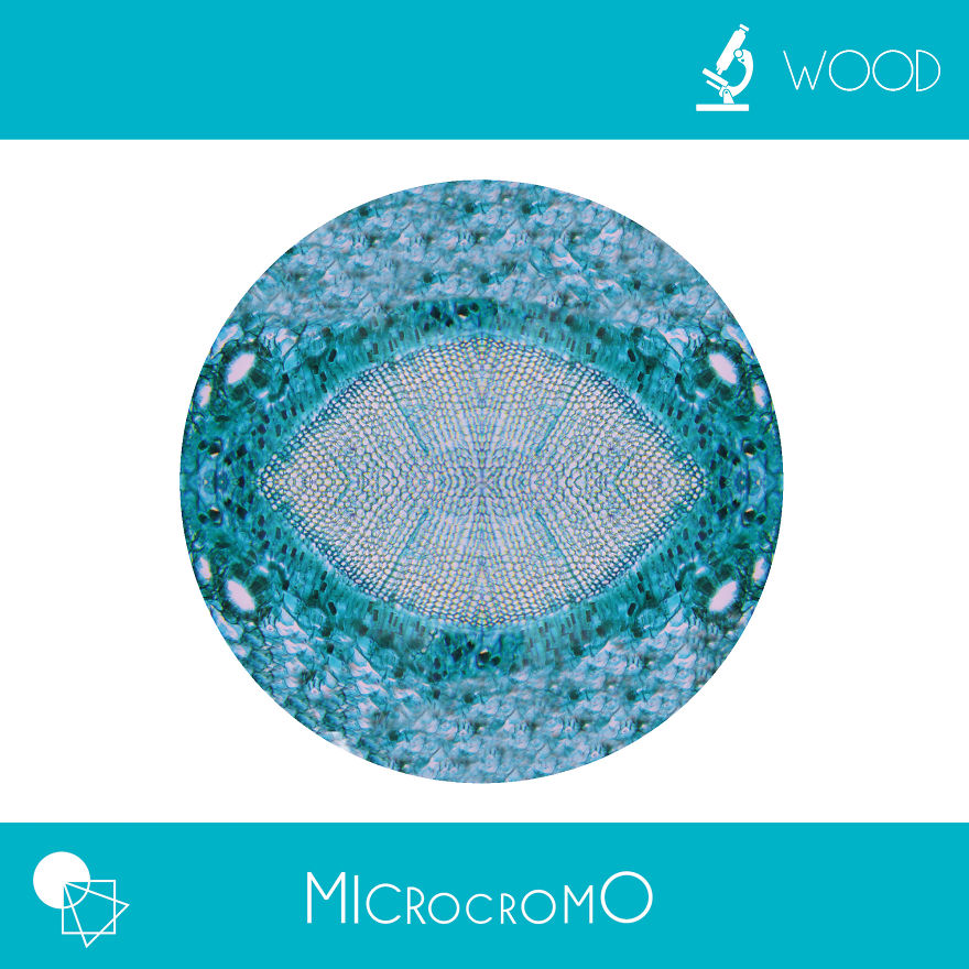 Microcromo: The First Transformable Coffee Table Microcromo: The First Transformable Coffee Table