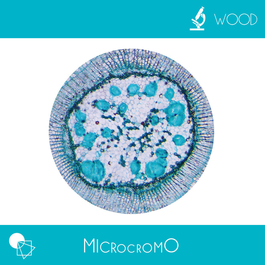 Microcromo: The First Transformable Coffee Table Microcromo: The First Transformable Coffee Table